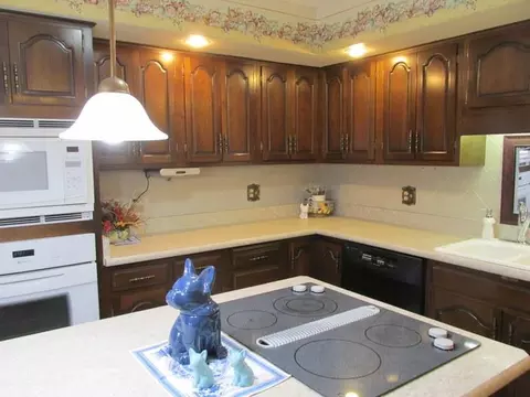 8660 Sunset Dr, Byron, IL 61010 photo 6