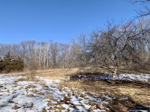 Tbd Three Mile Road, Thomson, IL 61285 photo 35