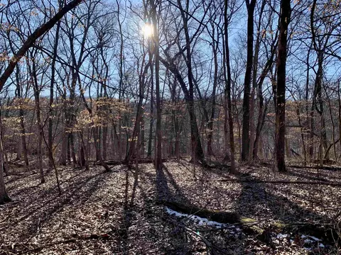 Tbd Three Mile Road, Thomson, IL 61285 photo 42