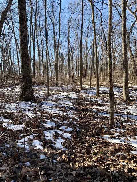 Tbd Three Mile Road, Thomson, IL 61285 photo 38