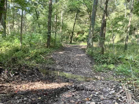 Tbd Three Mile Road, Thomson, IL 61285 photo 6