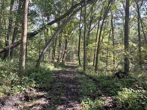 Tbd Three Mile Road, Thomson, IL 61285 photo 8