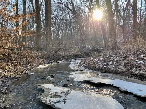 Tbd Three Mile Road, Thomson, IL 61285 photo 40