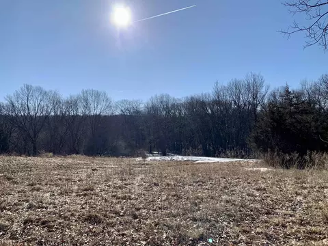 Tbd Three Mile Road, Thomson, IL 61285 photo 36