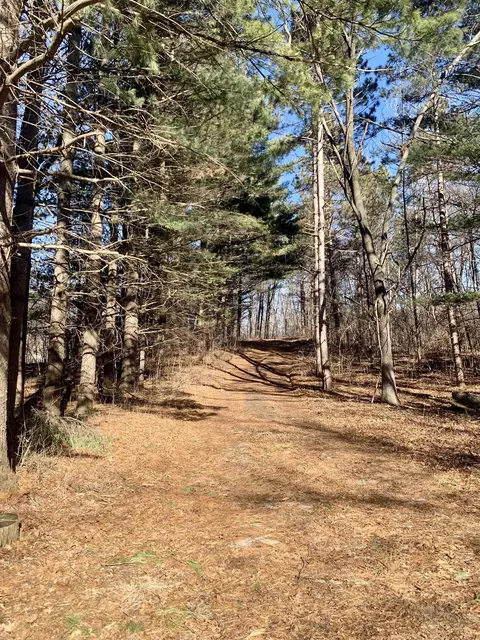 Tbd Three Mile Road, Thomson, IL 61285 photo 30