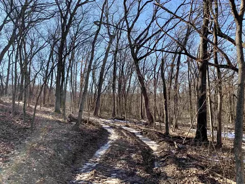 Tbd Three Mile Road, Thomson, IL 61285 photo 37