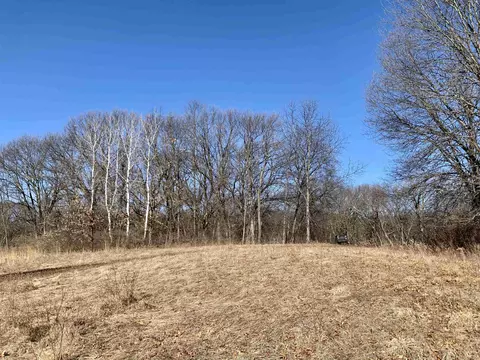 Tbd Three Mile Road, Thomson, IL 61285 photo 34