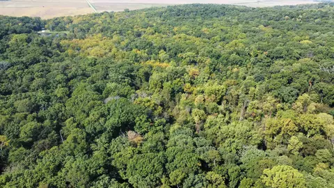 Tbd Three Mile Road, Thomson, IL 61285 photo 17