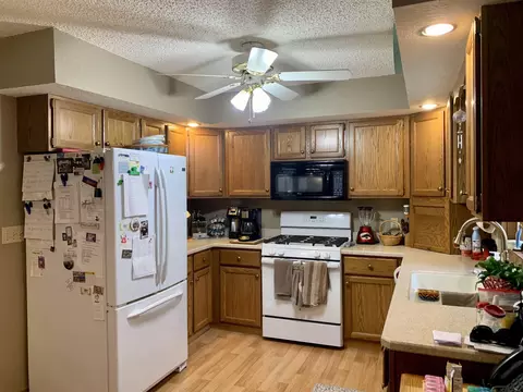 10308 Cedar Ct, Thomson, IL 61285 photo 3