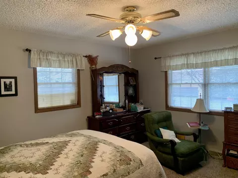 10308 Cedar Ct, Thomson, IL 61285 photo 9