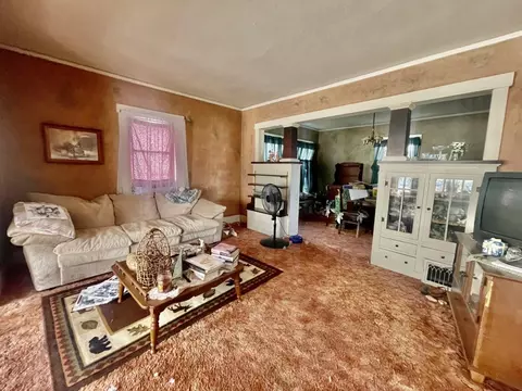 1002 Locust St, Thomson, IL 61285 photo 8