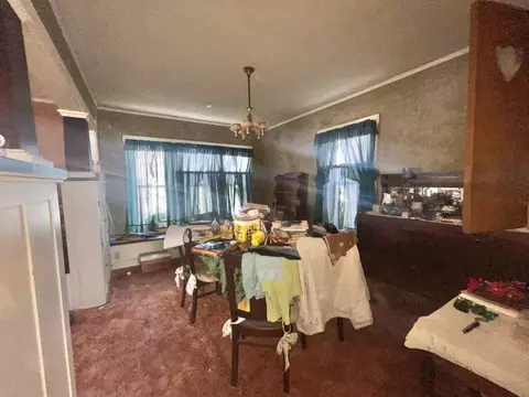 1002 Locust St, Thomson, IL 61285 photo 5