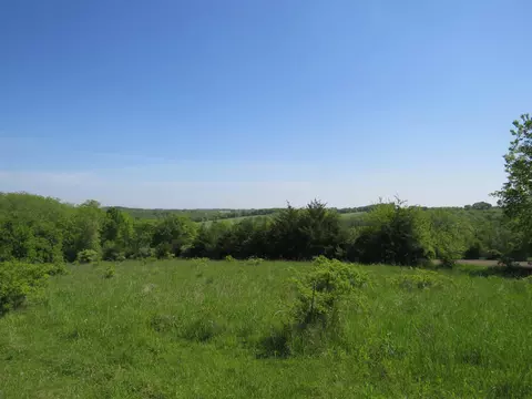 Tbd W Council Hill Road, Galena, IL 61036