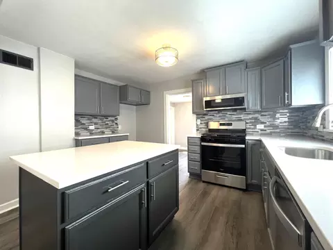 206 E Chicago Ave, Davis Junction, IL 61020 photo 3