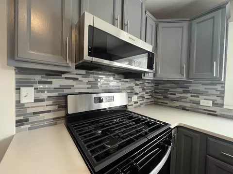 206 E Chicago Ave, Davis Junction, IL 61020 photo 5
