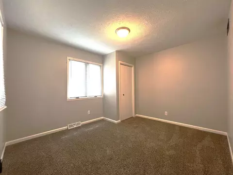 206 E Chicago Ave, Davis Junction, IL 61020 photo 14