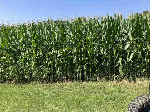 Carter Road, Lanark, IL 61046