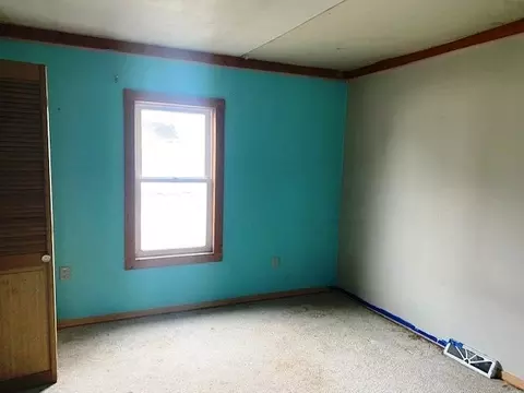 204 W 2nd St, Leaf River, IL 61047 photo 11