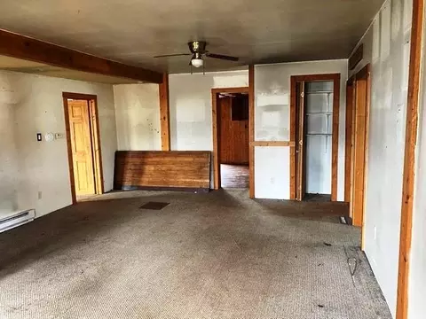 204 W 2nd St, Leaf River, IL 61047 photo 3