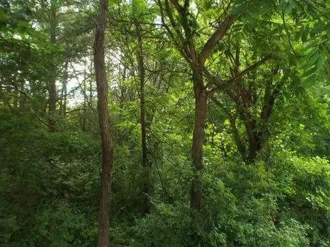 Tbd 80th Avenue, Hillsdale, IL 61257