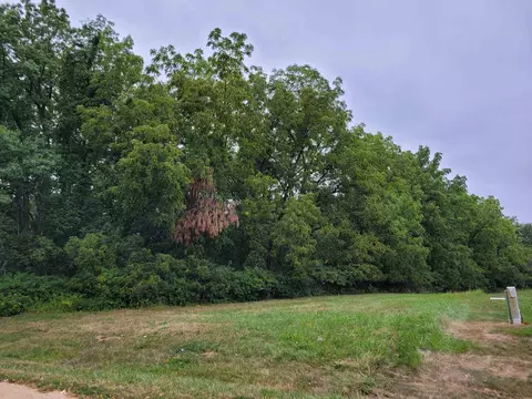 20-31 32 Fox Run Dr, Lake Carroll, IL 61046