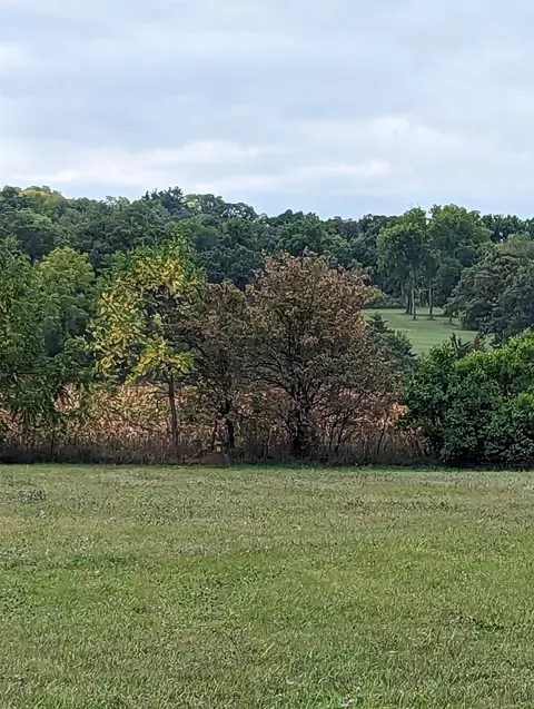 188 Lake Summerset Rd, Lake Summerset, IL 61019