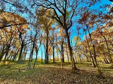 Tbd Putter Lane, Galena, IL 61036