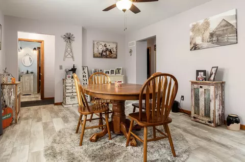 413 W Davis Dr, Leaf River, IL 61047 photo 18