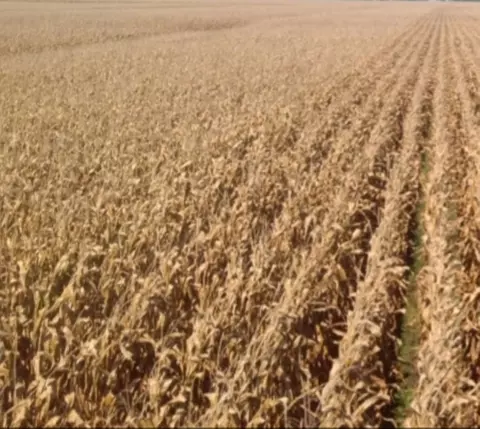 Tbd Massbach Road, Stockton, IL 61085