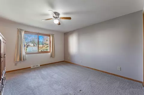 202 E Carnifix, Davis, IL 61019 photo 9