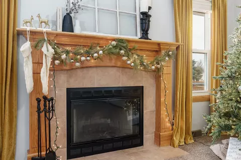1046 Old Hunter Run, Byron, IL 61010 photo 6