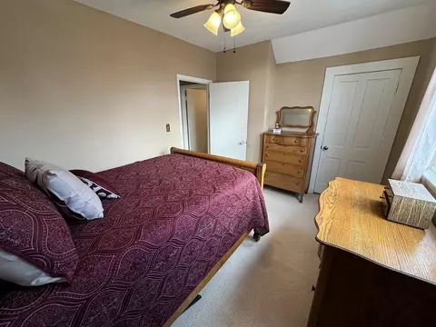 717 E Washington St, Mount Carroll, IL 61053 photo 43
