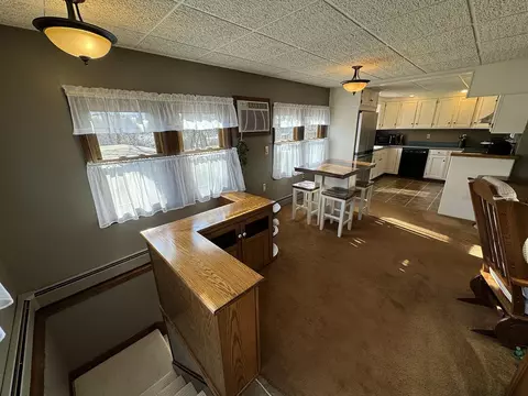 717 E Washington St, Mount Carroll, IL 61053 photo 28