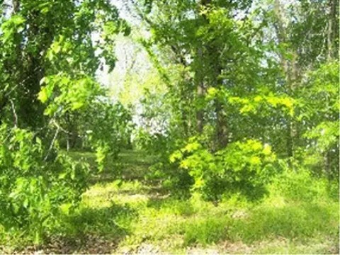 774 Westmore, Lake Summerset, IL 61019 photo 1
