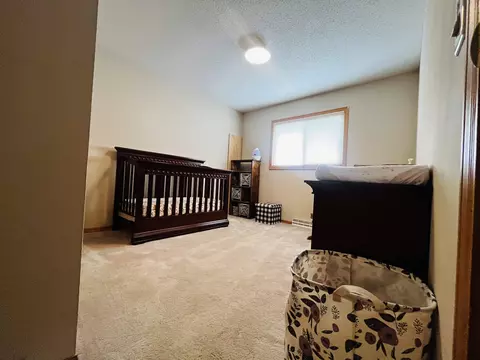 102 E Snyder, Davis, IL 61019 photo 12