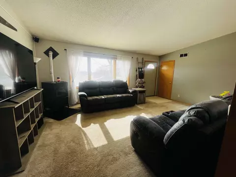 102 E Snyder, Davis, IL 61019 photo 5