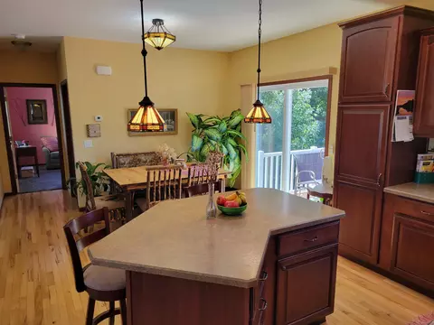 10 A140 Eagle Dr, Apple River, IL 61001 photo 13