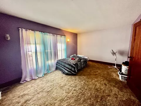 215 Plummer Ave, Chadwick, IL 61014 photo 15