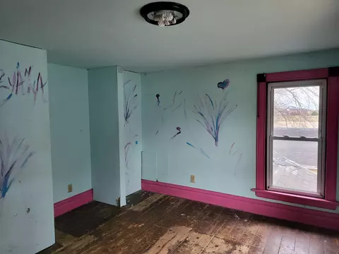 Other - 205 E Chicago Ave, Davis Junction, IL 61020 photo 6 of 10