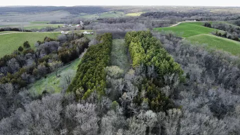 View/Area - 6569 S Speer Rd, Hanover, IL 61041 photo 12 of 22