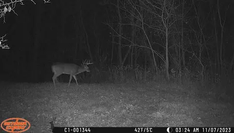 Other - 6569 S Speer Rd, Hanover, IL 61041 photo 4 of 9