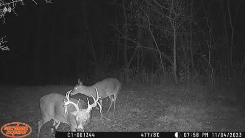 Other - 6569 S Speer Rd, Hanover, IL 61041 photo 5 of 9