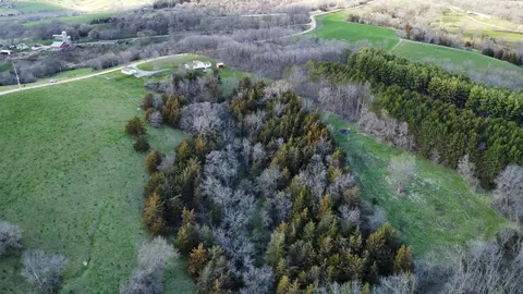 View/Area - 6569 S Speer Rd, Hanover, IL 61041 photo 18 of 22