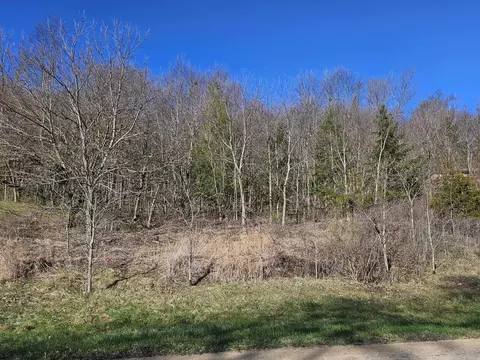 113 Cogan Dr, Galena, IL 61036