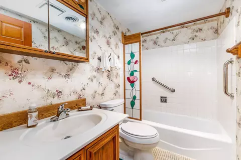 Bath - 8 A64 Constitution Dr, Apple River, IL 61001 photo 1 of 1