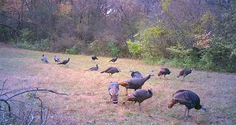 Us Bypass 20, Freeport, IL 61032 photo 5