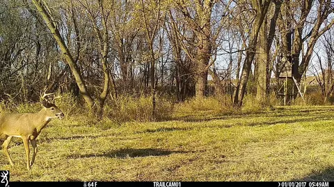 Us Bypass 20, Freeport, IL 61032 photo 3