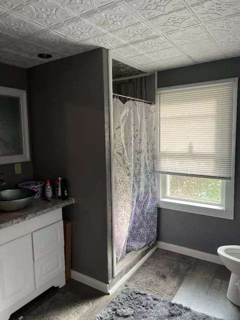 Bath - 304 N Lee St, Davis, IL 61019 photo 1 of 2