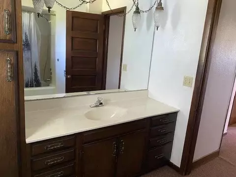 Bath - 3783 E Lamm Rd, Freeport, IL 61032 photo 2 of 2