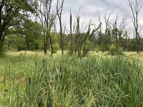 000 Beaver Rd, Freeport, IL 61032 photo 5